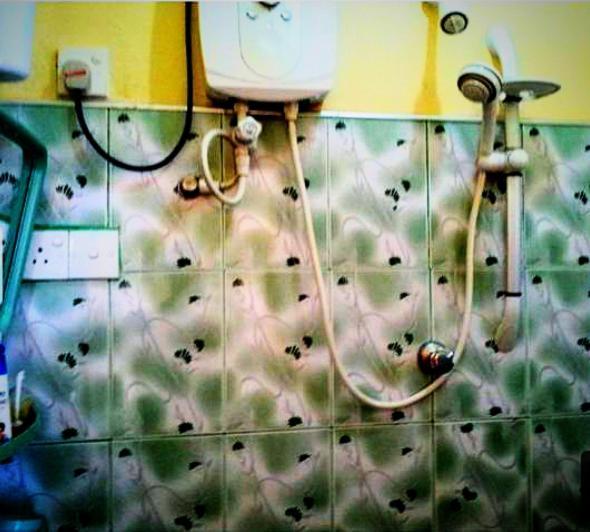 Happy Morning Bliss Bed & Breakfast Mirissa Bagian luar foto